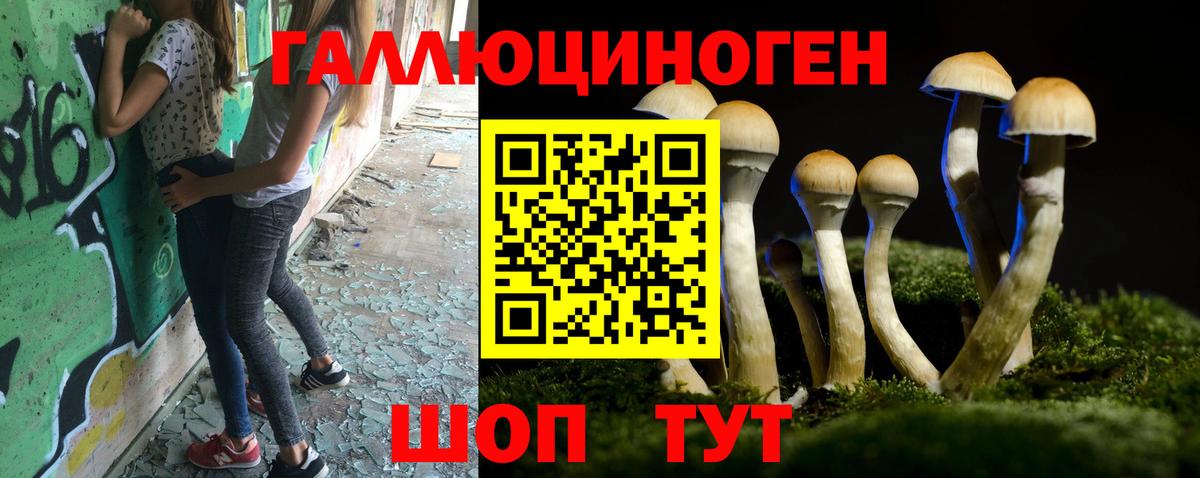 Еманжелинск  Галлюциногенные грибы Cubensis  Псилоцибиновые грибы Psilocybine cubensis  Вход с VPN 